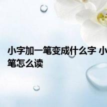 小字加一笔变成什么字 小字加一笔怎么读