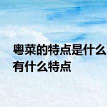 粤菜的特点是什么 粤菜有什么特点