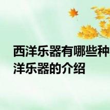 西洋乐器有哪些种类 西洋乐器的介绍