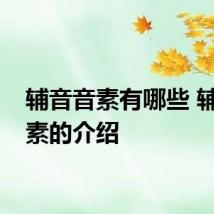 辅音音素有哪些 辅音音素的介绍