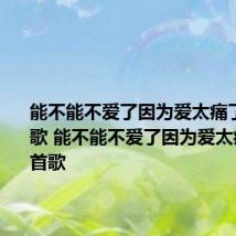能不能不爱了因为爱太痛了是什么歌 能不能不爱了因为爱太痛了是哪首歌