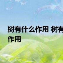 树有什么作用 树有哪些作用