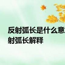 反射弧长是什么意思 反射弧长解释