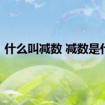 什么叫减数 减数是什么