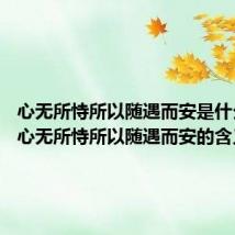 心无所恃所以随遇而安是什么意思 心无所恃所以随遇而安的含义