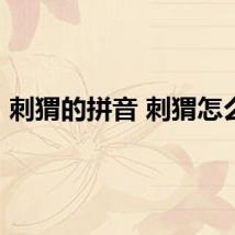 刺猬的拼音 刺猬怎么拼