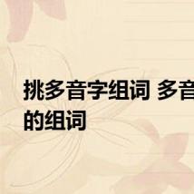 挑多音字组词 多音字挑的组词