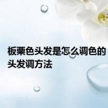 板栗色头发是怎么调色的 板栗色头发调方法