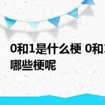 0和1是什么梗 0和1属于哪些梗呢
