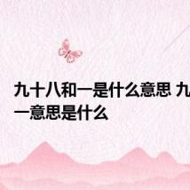 九十八和一是什么意思 九十八和一意思是什么