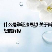 什么是辩证法思想 关于辩证法思想的解释