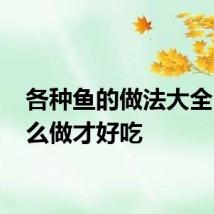 各种鱼的做法大全 鱼怎么做才好吃