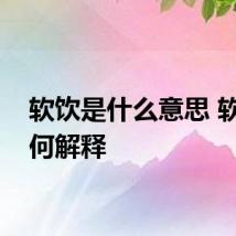软饮是什么意思 软饮如何解释