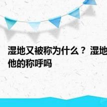 湿地又被称为什么? 湿地还有其他的称呼吗