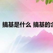 搞基是什么 搞基的含义