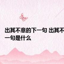 出其不意的下一句 出其不意的下一句是什么