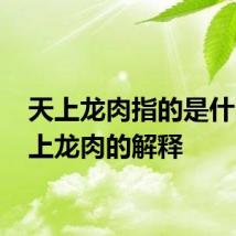天上龙肉指的是什么 天上龙肉的解释