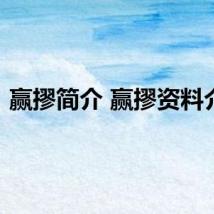 赢摎简介 赢摎资料介绍