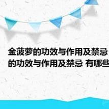 金菠萝的功效与作用及禁忌 金菠萝的功效与作用及禁忌 有哪些