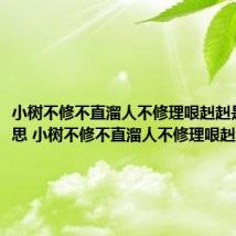 小树不修不直溜人不修理哏赳赳是什么意思 小树不修不直溜人不修理哏赳赳含义