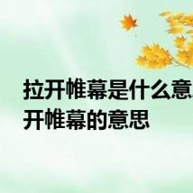 拉开帷幕是什么意思 拉开帷幕的意思