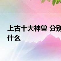 上古十大神兽 分别都是什么