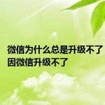 微信为什么总是升级不了 什么原因微信升级不了