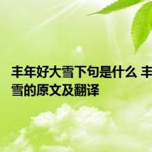 丰年好大雪下句是什么 丰年好大雪的原文及翻译