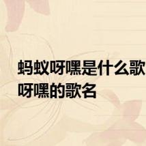 蚂蚁呀嘿是什么歌 蚂蚁呀嘿的歌名