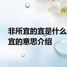 非所宜的宜是什么意思 宜的意思介绍