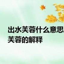 出水芙蓉什么意思 出水芙蓉的解释