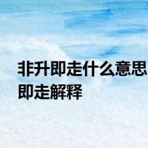 非升即走什么意思 非升即走解释