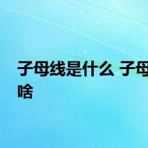 子母线是什么 子母线是啥