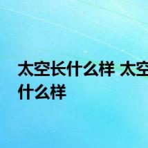 太空长什么样 太空是长什么样