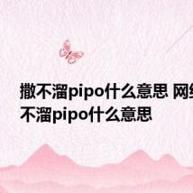 撒不溜pipo什么意思 网络语撒不溜pipo什么意思