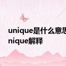 unique是什么意思啊 unique解释