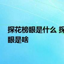 探花榜眼是什么 探花榜眼是啥