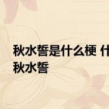 秋水誓是什么梗 什么是秋水誓