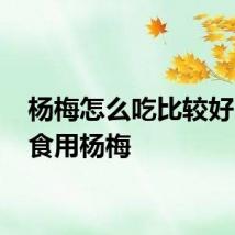 杨梅怎么吃比较好 如何食用杨梅