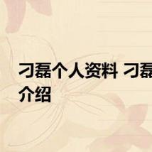 刁磊个人资料 刁磊简单介绍