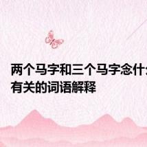 两个马字和三个马字念什么 与马有关的词语解释