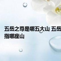 五岳之尊是哪五大山 五岳之尊是指哪座山