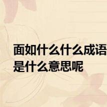 面如什么什么成语 分别是什么意思呢