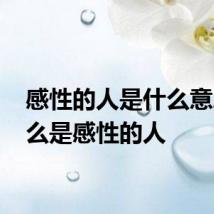 感性的人是什么意思 什么是感性的人