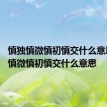 慎独慎微慎初慎交什么意思 慎独慎微慎初慎交什么意思