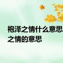 袍泽之情什么意思 袍泽之情的意思