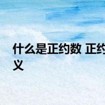 什么是正约数 正约数定义