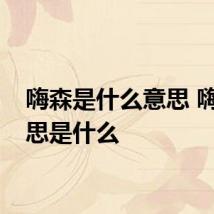 嗨森是什么意思 嗨森意思是什么