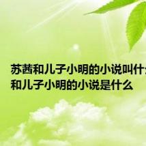 苏茜和儿子小明的小说叫什么 苏茜和儿子小明的小说是什么
