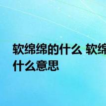 软绵绵的什么 软绵绵是什么意思